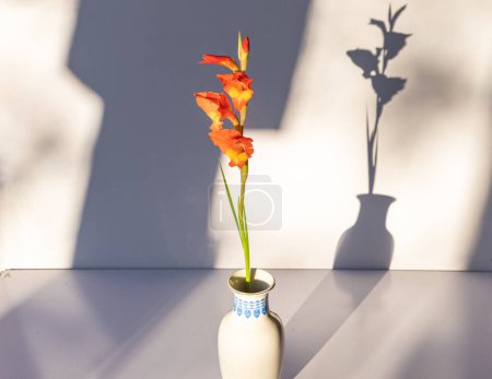 Foto de Floración gladiolos naranjas en un jarrón blanco con sombras aisladas sobre fondo blanco - Imagen libre de derechos