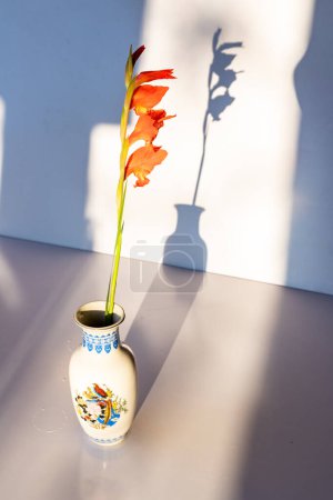 Foto de Hermosa flor de gladiolo en un jarrón de cerámica en agua con sombras aisladas sobre fondo blanco - Imagen libre de derechos