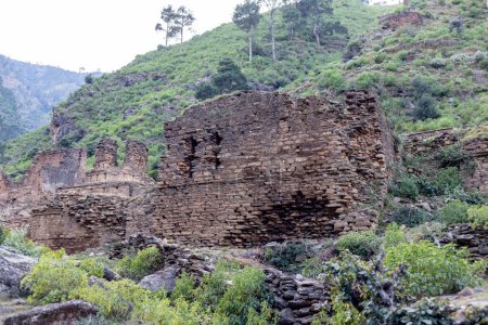 Foto de Las ruinas del sitio de stupa abbasahib cheena en el valle del najigram swat - Imagen libre de derechos