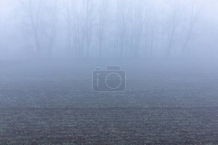 Photo for Thick morning fog above the agriculture fields in winter - Royalty Free Image