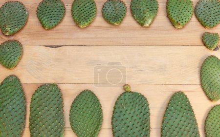 Photo for Bunny ears cactus red pads with room for text on wooden background - Royalty Free Image