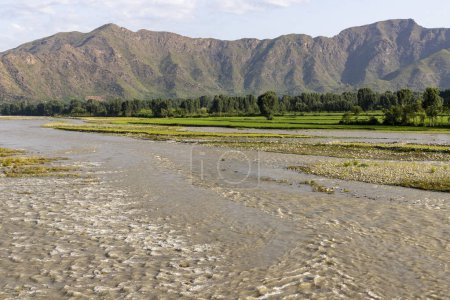 Téléchargez les photos : L'eau boueuse dans la rivière swat le long d'une belle rizière au bord de la rivière - en image libre de droit