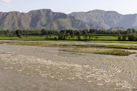 Téléchargez les photos : Haut débit d'eau dans la rivière avec des rizières en arrière-plan - en image libre de droit
