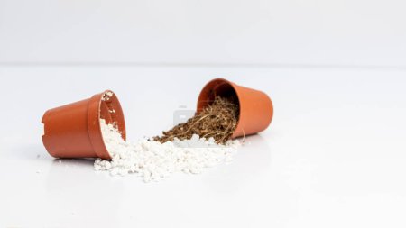 Foto de Tierra de maceta mezcla perlita y coco coco polvo mezcla en macetas pequeñas aisladas sobre fondo blanco - Imagen libre de derechos