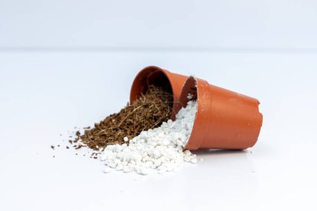 Foto de Mezcla de perlita y gallo en pequeñas macetas de plástico. Concepto de mezcla de suelo para plantas. - Imagen libre de derechos