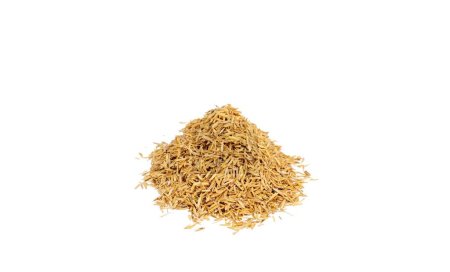 Photo for Heap of rice husk isolated on a white background - Royalty Free Image
