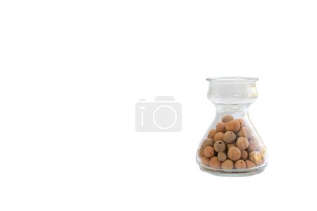 Téléchargez les photos : LECA boules d'argile pour hydroponique sur fond blanc isolé - en image libre de droit