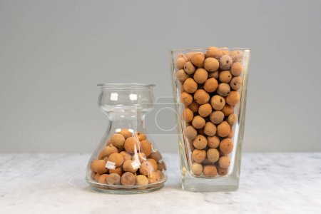 Photo for Transparent Vase with LECA clay ball Fill - Royalty Free Image