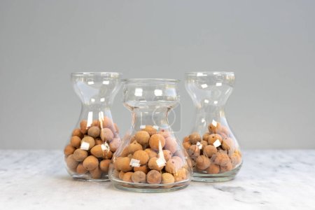 Téléchargez les photos : Boules d'argile Leca dans un vase cristallin - en image libre de droit