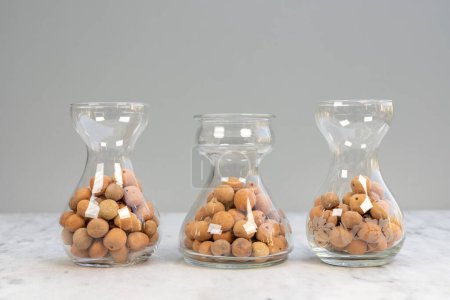 Expanded clay pellets for indoor plants in a semi hydroponics farming
