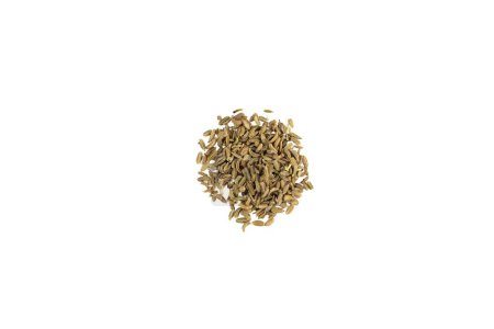 Celery seeds isolated on a white background