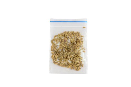 Celery seeds in a transparent pack on white isolated background
