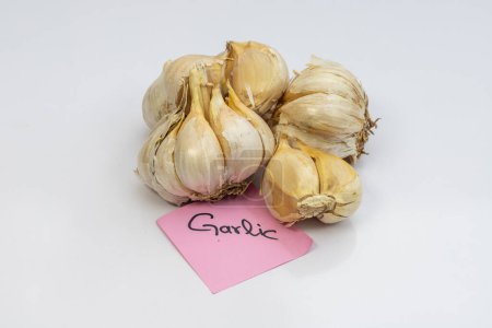 Photo for NARC G1 Garlic bulbs on white isolated background - Royalty Free Image