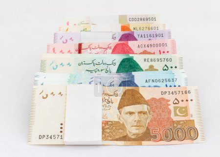 Pakistani currency notes of various denominations on white background