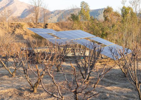 Solar panel power station in rural area in peach orchard in Pakistan
