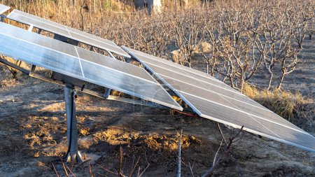 Foto de Planta de paneles solares para la generación de energía fotovoltaica renovable para uso agrícola - Imagen libre de derechos