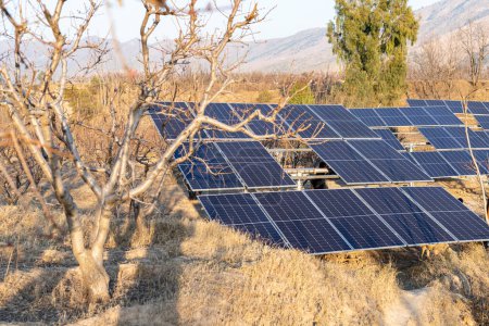 Foto de Paneles solares en un campo agrícola en Pakistán para generar electricidad para alimentar la bomba de agua para riego - Imagen libre de derechos