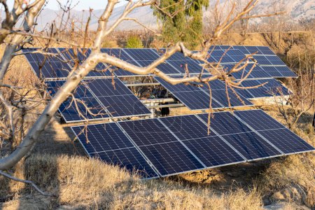 Solarpaneelfarm auf dem Land. Konzept für erneuerbare Energien.