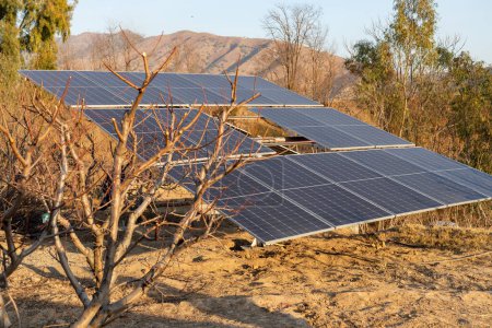 Solar panels for generating renewable energy converted to electricity to use in agricultural farm for irrigation