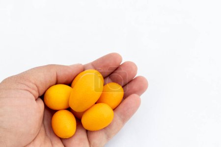 Fruto kumquat maduro en mano aislado sobre fondo blanco con espacio para copiar