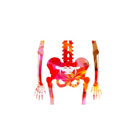 Ilustración de Abstracto colorido vector ilustración de esqueleto - Imagen libre de derechos