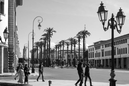 Photo for Rabat, Casablanca - March 1, 2020 : View of a pedestrian street with palm trees and beautiful street lamps in Rabat Morocco on a sunny day in black and white - Royalty Free Image