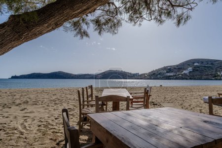 View of tables and chairs next to a tree at the Gialos Beach in Ios Greece