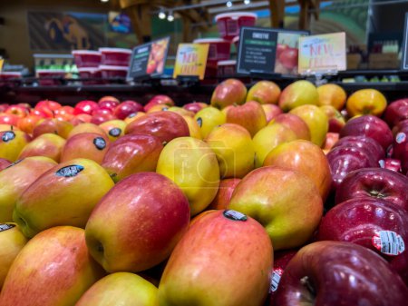 Photo for Snohomish, WA USA - circa November 2022: Wide view of sweetie apples for sale inside a Haggen grocery store. - Royalty Free Image