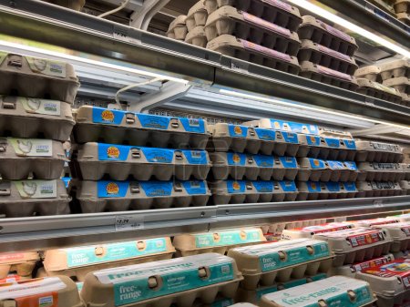 Téléchargez les photos : Mill Creek, WA USA - circa April 2022: Angled, selective focus on a variety of organic eggs for sale inside a grocery store - en image libre de droit