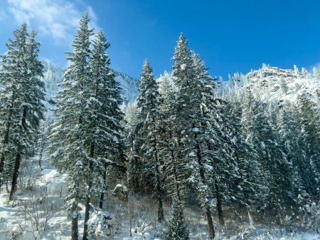 Foto de Vista del tiempo soleado brillante en Stevens Pass durante el invierno - Imagen libre de derechos