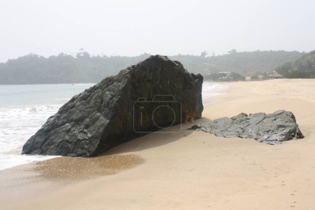 Eine majestätische Felsformation an einem abgelegenen Strand mit sanften Wellen, die am Ufer plätschern und einem Hund, der die Gegend erkundet.
