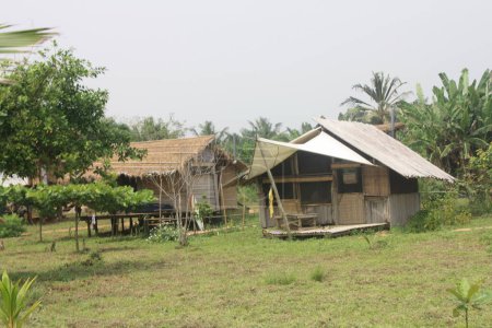 simple, traditional beachside hut made of bamboo and thatch, with lush green surroundings. This eco-friendly accommodation offers a rustic and authentic experience.