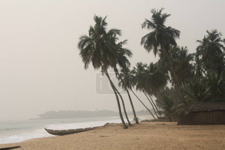 Cabañas de playa enclavadas entre palmeras a lo largo de la costa ghanesa. El entorno tranquilo y pintoresco es perfecto para un retiro junto a la playa.