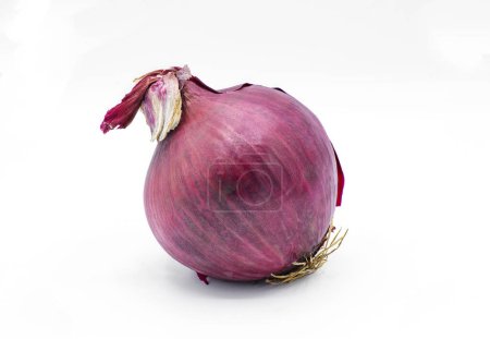 Photo for Organic Sweet Red purple whole onion bulb, isolated on white background.  Used for cooking and flavoring of soup and meat dishes. Raw, fresh uncut and unpeeled straight from garden to the table - Royalty Free Image