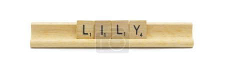 Konzept der beliebten neugeborenen Mädchen Vorname von LILY mit quadratischen Holzfliesen englischen Buchstaben mit natürlicher Farbe und Maserung auf einem Holzständer auf weißem Hintergrund isoliert