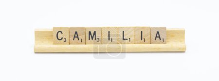 concept of popular newborn baby girl first name of CAMILIA made with square wooden tile English alphabet letters with natural color and grain on a wood rack holder isolated on white background