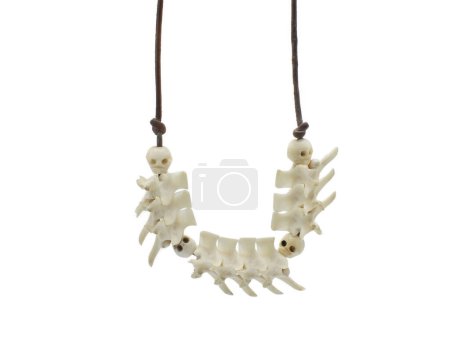 Vertebra or vertebrae necklace made from bones of a dead on road adult eastern diamondback rattlesnake - crotalus adamanteus - from roadkill or DOR, leather cord with miniature skulls made from bone