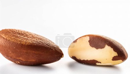 Brazil nut - Bertholletia excelsa - contain beneficial nutrients and minerals, including selenium. They may also help support thyroid function and overall health. Isolated on white background