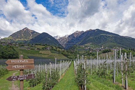 Foto de Picturesque landscape in the Alps of the hiking region Val Passiria in South Tyrol , Italy - Imagen libre de derechos