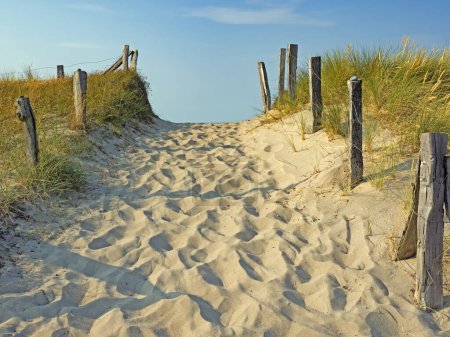 Photo for Beach access through the dunes to the Baltic Sea beach of Heiligenhafen, Germany - Royalty Free Image