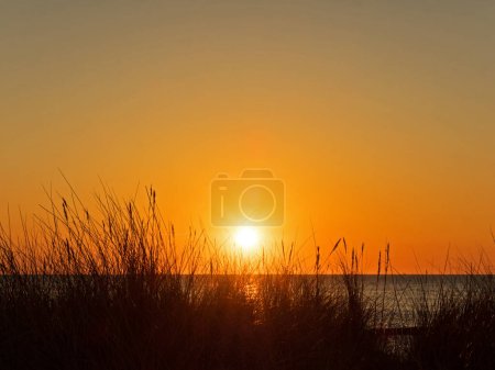 Foto de Vista a través de las dunas al sol que se hunde en el Mar Báltico, Alemania - Imagen libre de derechos