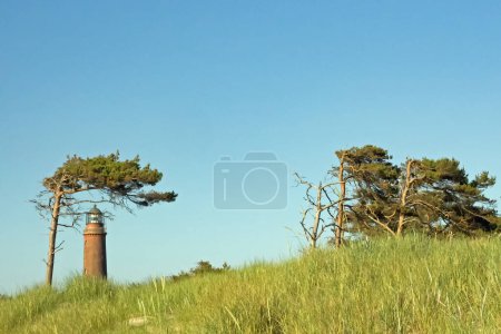 Außenansicht des historischen Leuchtturms Darsser Ort im Nationalpark Vorpommern