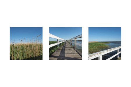 Foto de Tres imágenes con impresiones del lago Bodstedter Bodden, Alemania, esbozadas en blanco - Imagen libre de derechos
