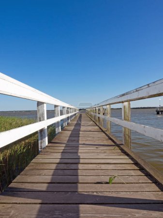 Photo for A wooden footbridge leads into the Bodden near Wieck a. Darss, Germany - Royalty Free Image