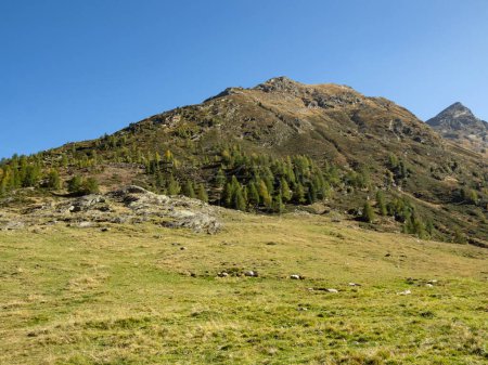 Blick auf die herbstliche Landschaft im Passeiertal bei Pfelders im Naturpark Texelgruppe, Südtirol, Italien