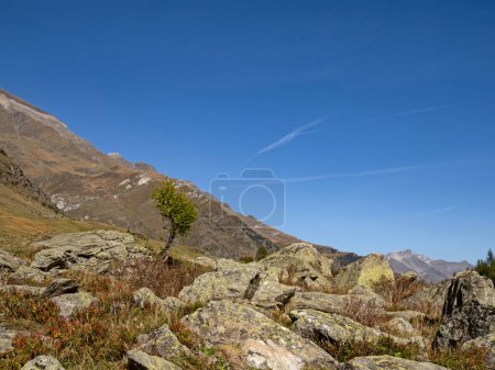 View of the rocky landscape in the Passeier Valley near Pfelders in the Texel Group Nature Park, South Tyrol, Italy