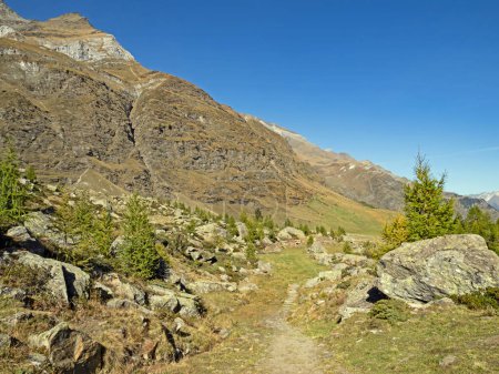 A hiking trail leads through the autumnal landscape in the Passeier Valley near Pfelders in the Texel Group Nature Park, South Tyrol, Italy