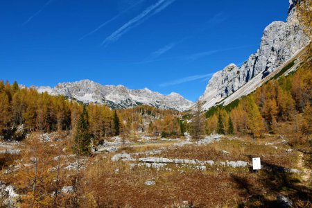 Foto de Vista del valle de los lagos de Triglav y la montaña de Veliko Spicje detrás con el bosque de alerce en color dorado de otoño en los Alpes Julianos, Gorenjska, Eslovenia - Imagen libre de derechos