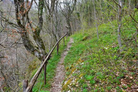 Téléchargez les photos : Sentier de randonnée à travers une forêt à Koseska korita au printemps à côté d'une clôture en bois - en image libre de droit