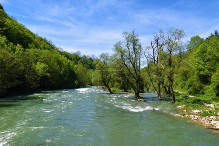 Foto de Vista del río Korana en verano en el condado de Karlovac, Croacia - Imagen libre de derechos